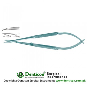 Micro Scissor Curved Round - Handle Stainless Steel, 15 cm - 6" Blade Size 10 mm