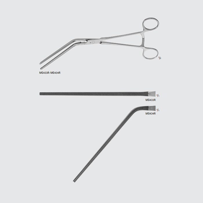 GLASSMAN Gastroenterostomy Clamp – Denticon Instruments