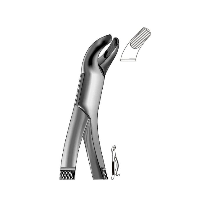 Extracting Forceps, American Pattern – Denticon Instruments