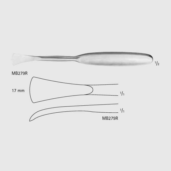 LANGENBECK Periosteal Elevator – Denticon Instruments