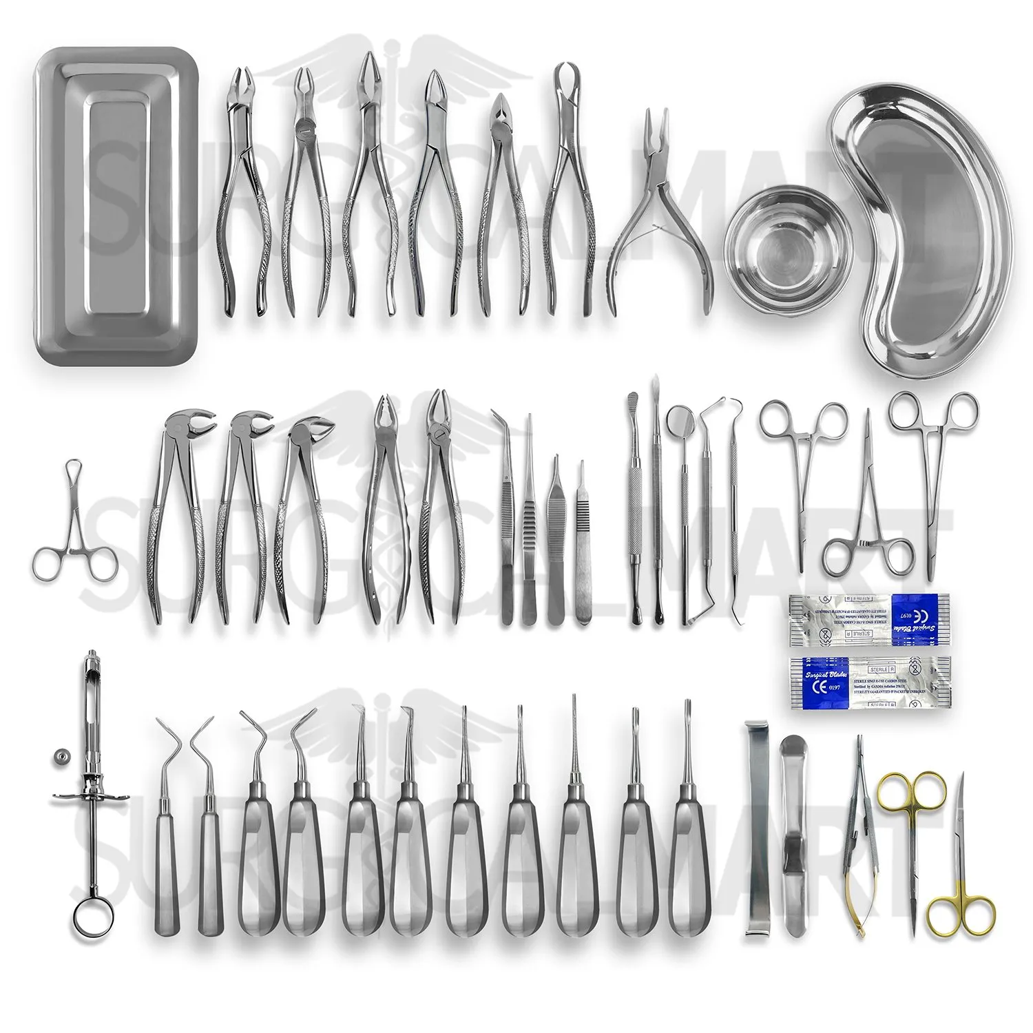 49-pcs-oral-dental-extraction-surgery-set-Denticon Dental and surgical instrumens Denticon Dental Instrumetns set